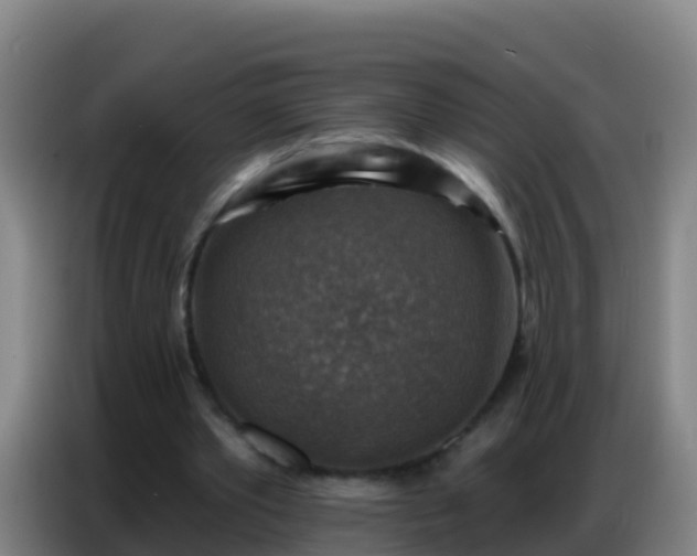 X0000086800389200704201907