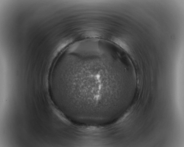 X0000086800390200704201907