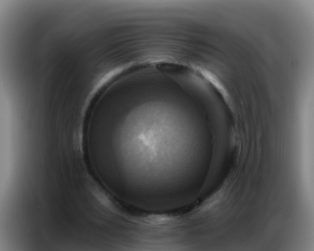 X0000086800391200704201907