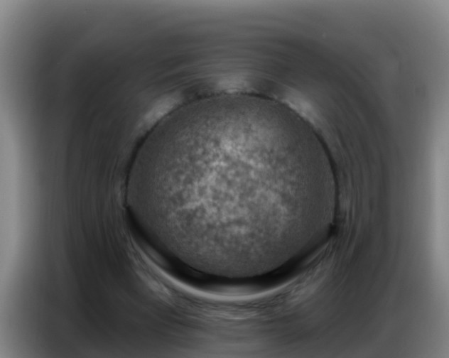 X0000086800393200704201907