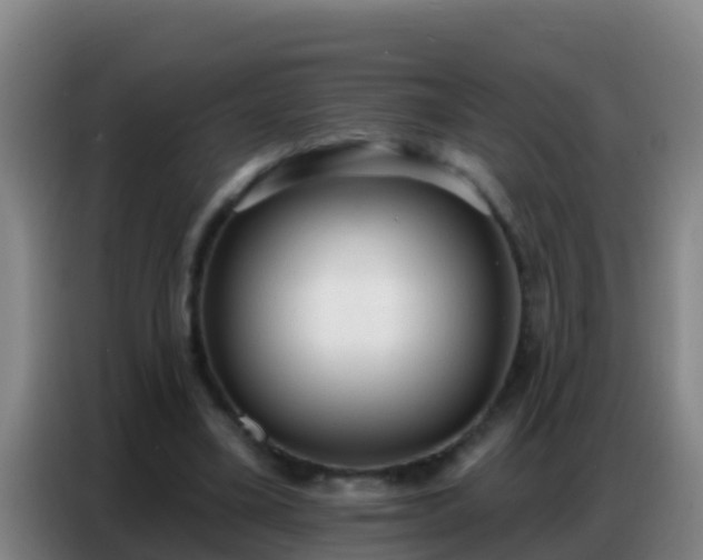 X0000086800395200704201907