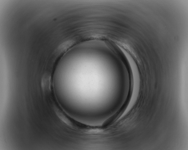 X0000086800397200704201907