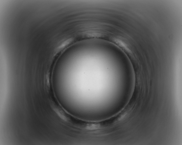 X0000086800398200704201907