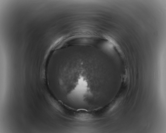 X0000086800399200704201907