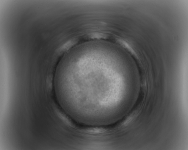 X0000086800402200704201907