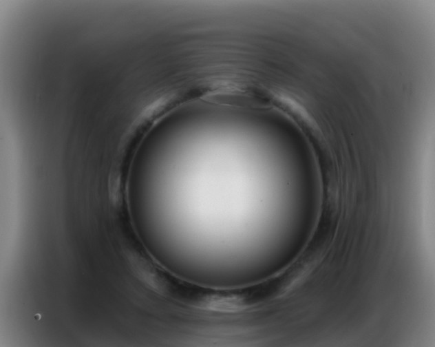 X0000086800403200704201907