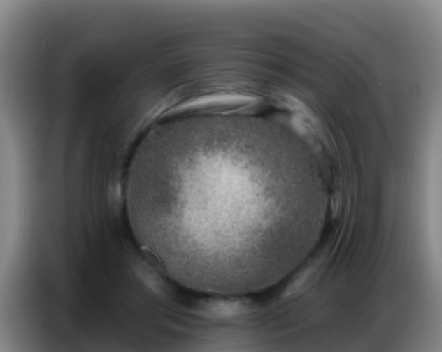 X0000086800405200704201907