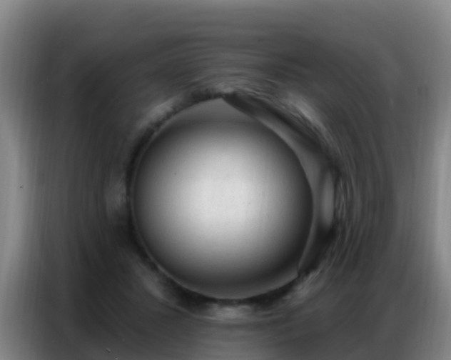 X0000086800407200704201907