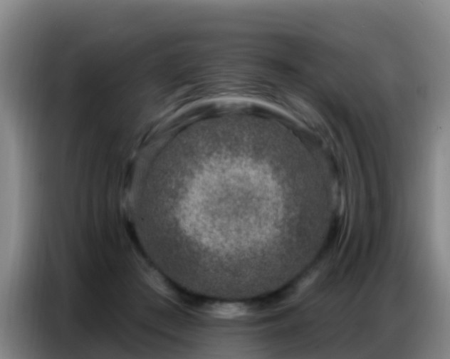 X0000086800409200704201907