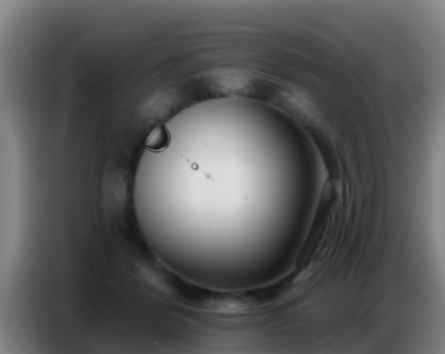 X0000086800412200704201907