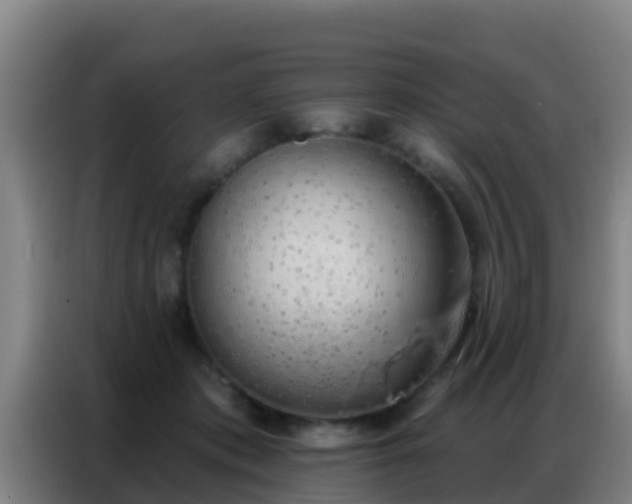 X0000086800413200704201907