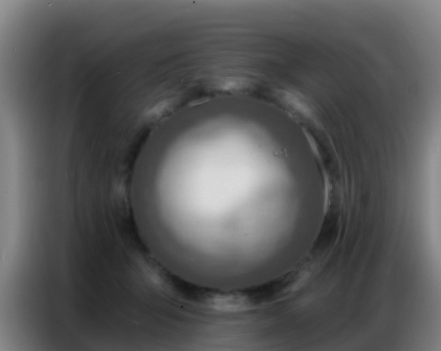 X0000086800415200704201907
