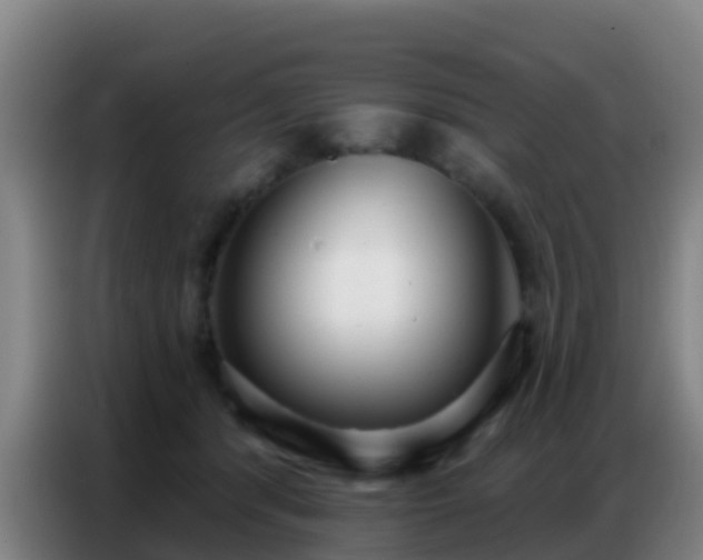 X0000086800416200704201907