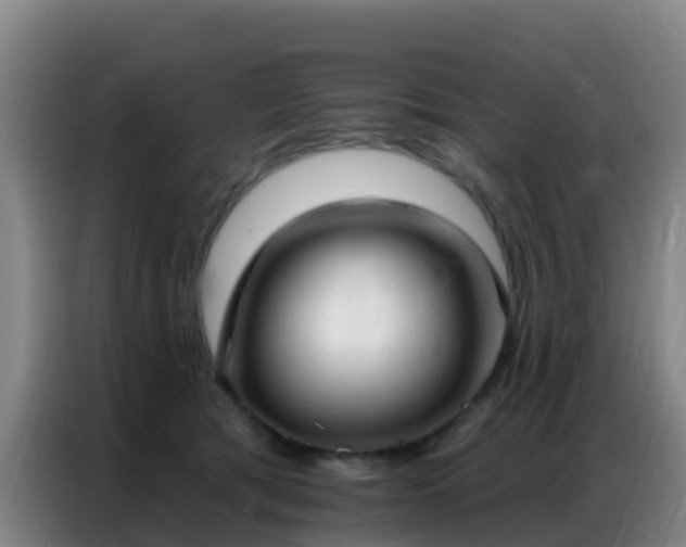 X0000086800417200704201907