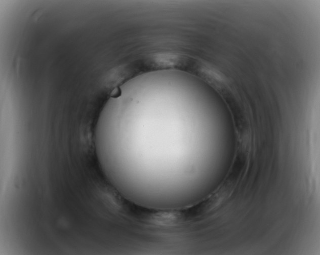 X0000086800418200704201907