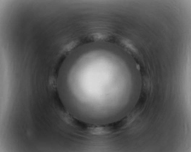 X0000086800419200704201907