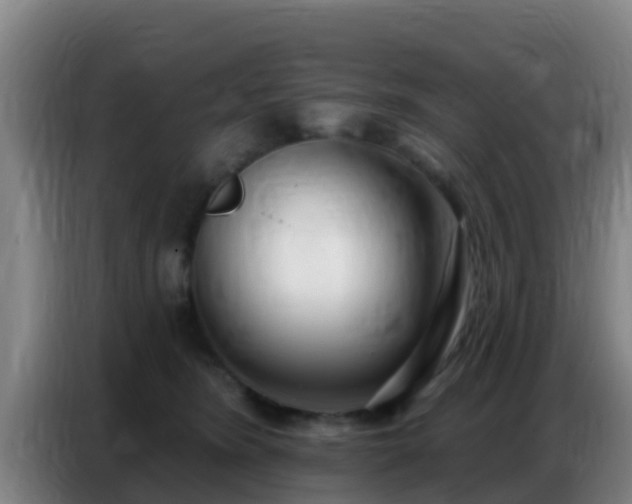 X0000086800420200704201907
