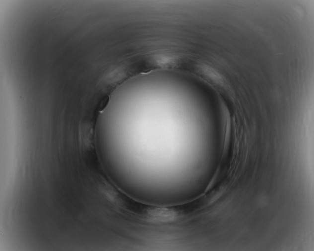 X0000086800421200704201907