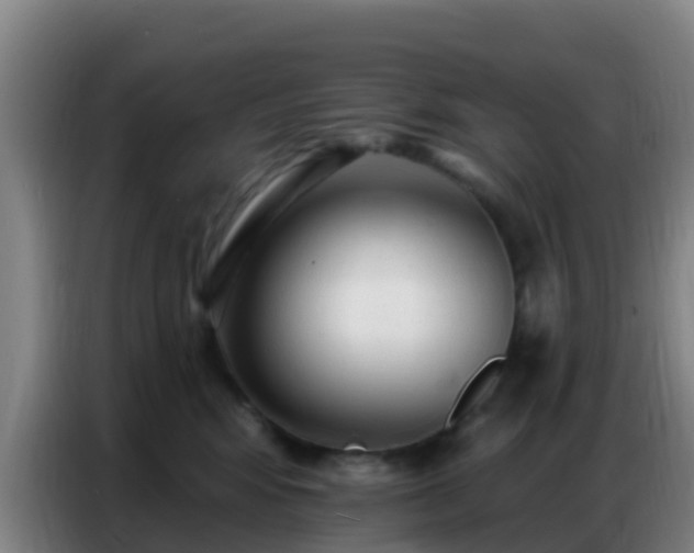 X0000086800424200704201907