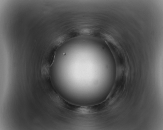 X0000086800425200704201907