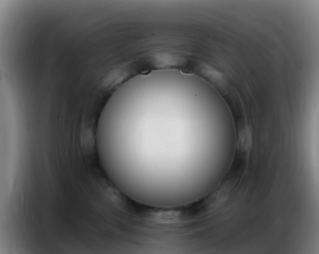 X0000086800426200704201907