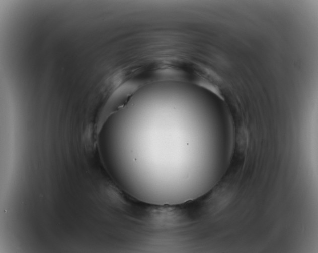 X0000086800428200704201907