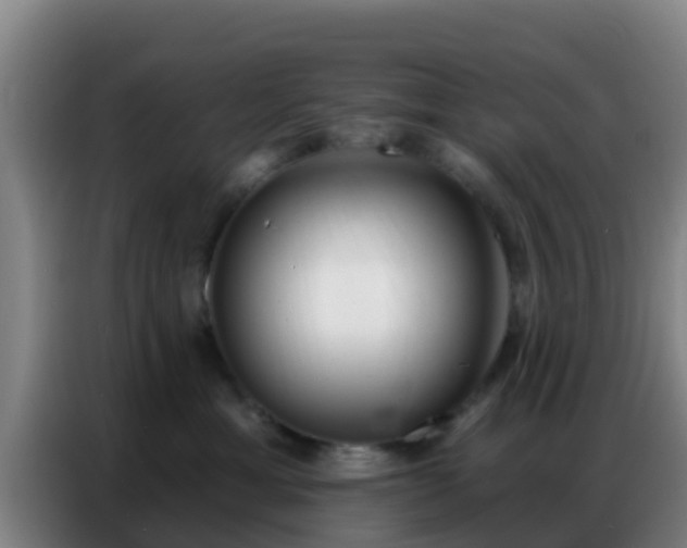 X0000086800429200704201907
