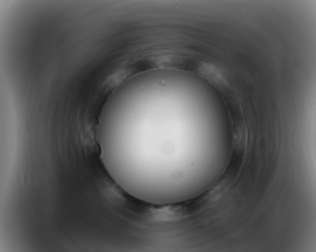 X0000086800430200704201907
