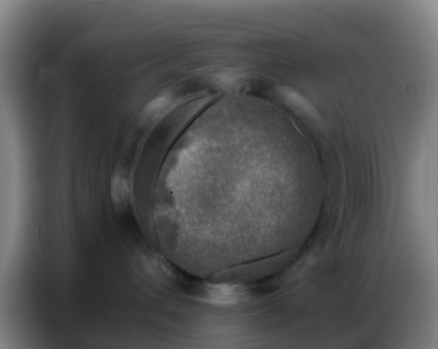 X0000086800432200704201907