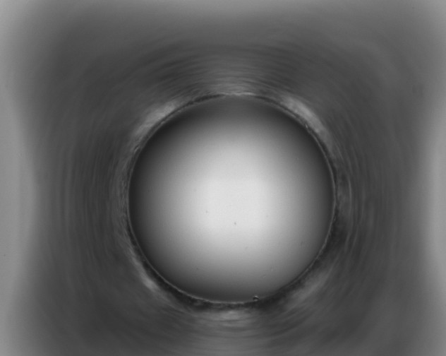 X0000086800433200704201906