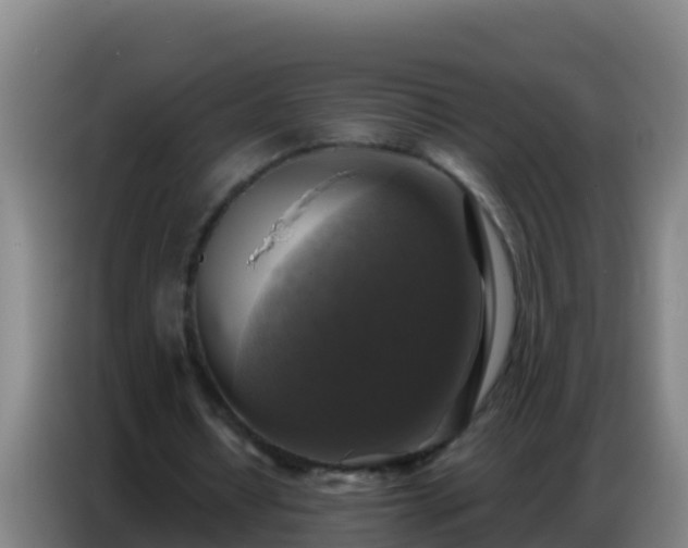 X0000086800434200704201906