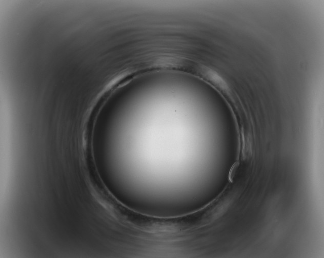 X0000086800435200704201906