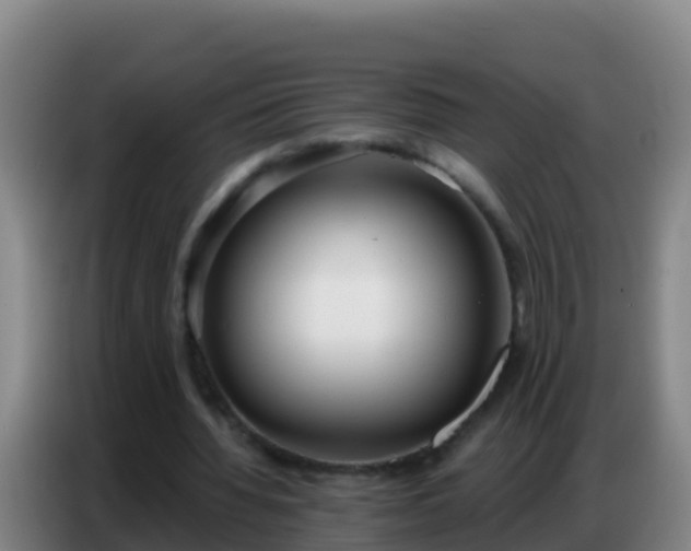 X0000086800436200704201906