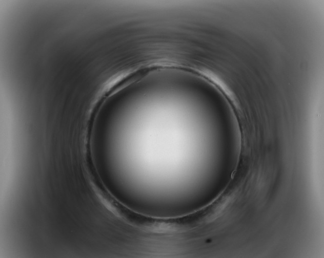 X0000086800437200704201906