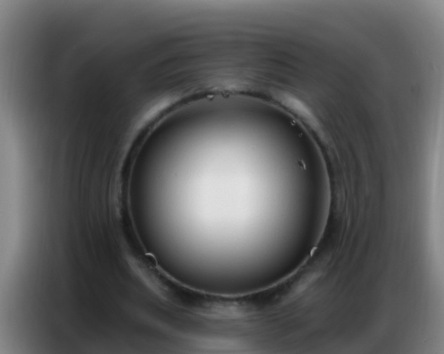 X0000086800439200704201906
