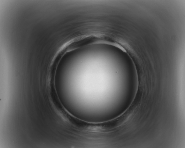 X0000086800440200704201906
