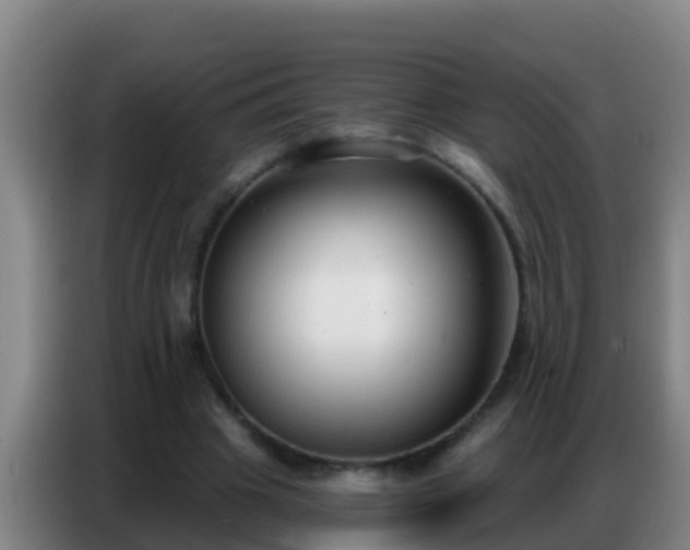 X0000086800441200704201906