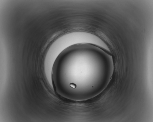 X0000086800444200704201906