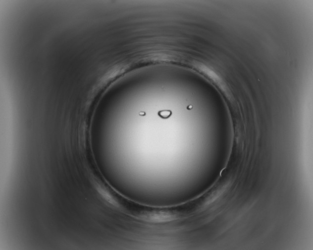X0000086800445200704201906