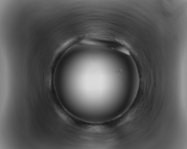 X0000086800446200704201906