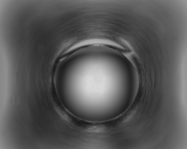 X0000086800447200704201906