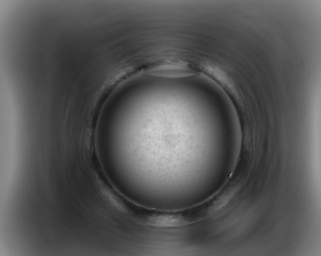 X0000086800449200704201907