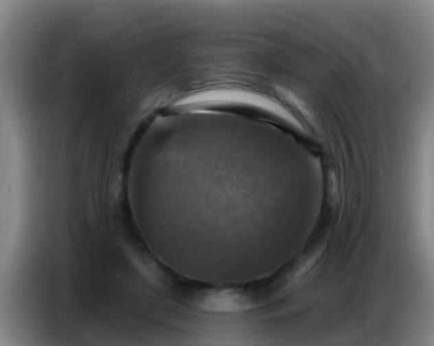 X0000086800451200704201907