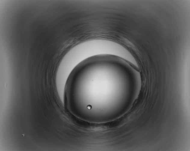 X0000086800452200704201907