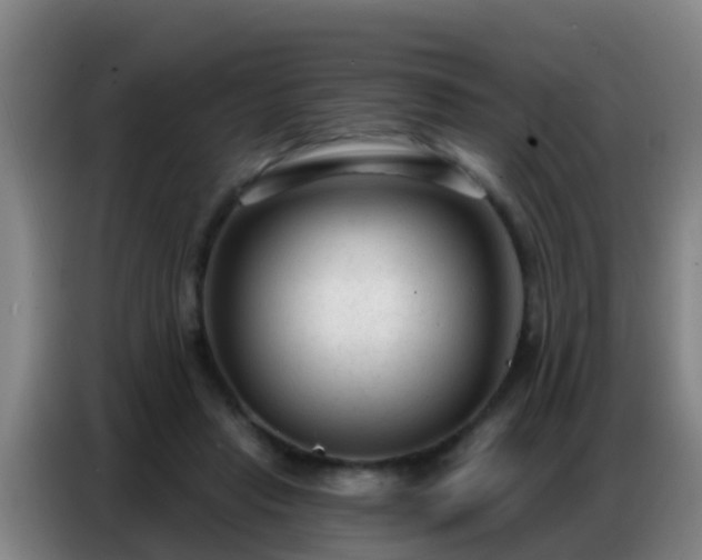 X0000086800453200704201907