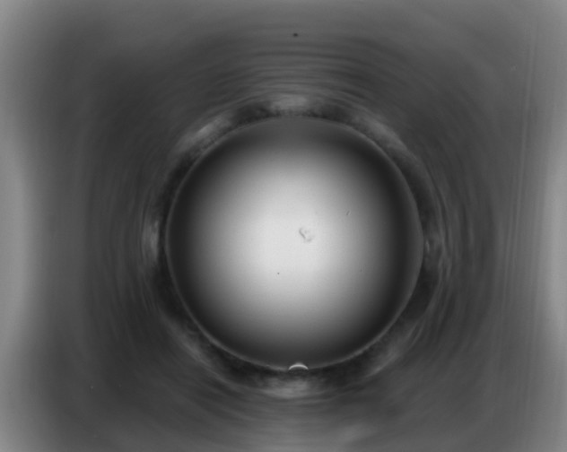 X0000086800454200704201907