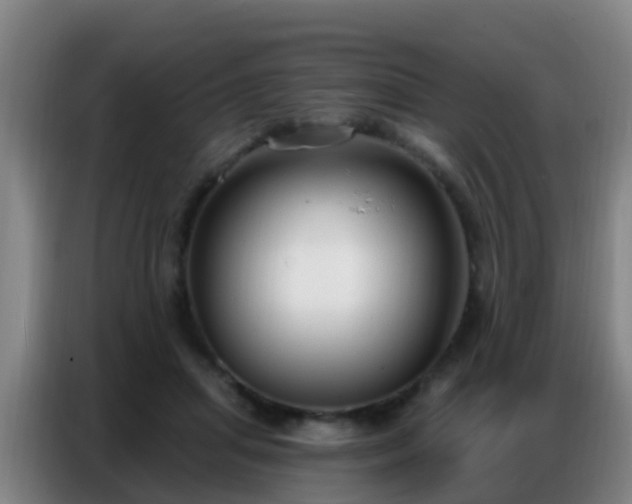 X0000086800455200704201907