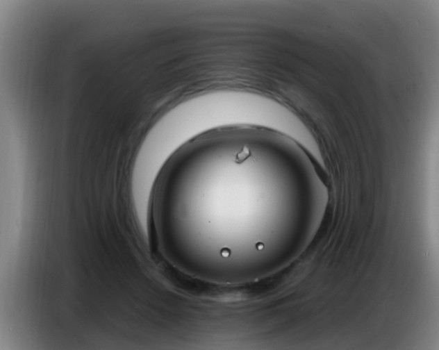 X0000086800456200704201907