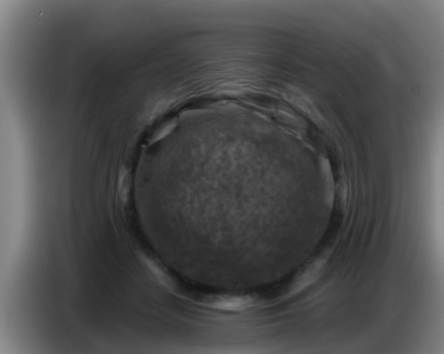 X0000086800458200704201907