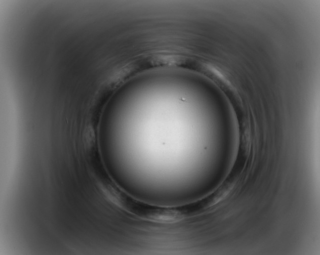 X0000086800459200704201907